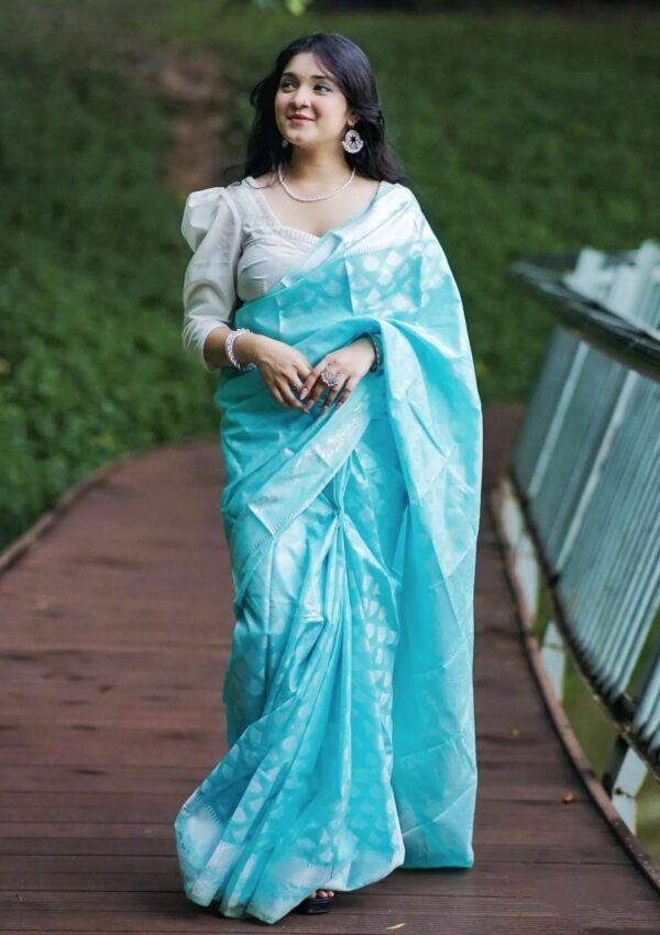 Sky Blue Silk Katan Saree কাতান শাড়ি